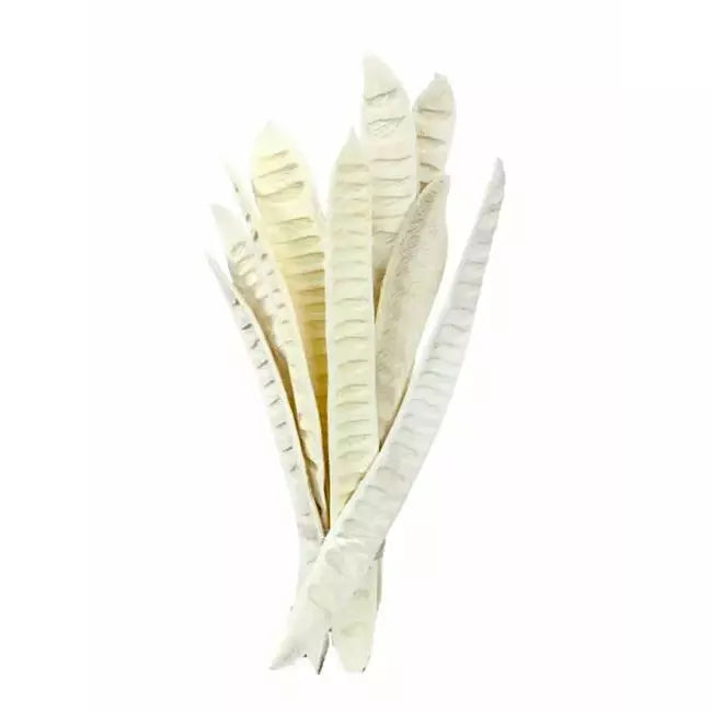 Step Fruit Whitewash 50cm x 10 Stems