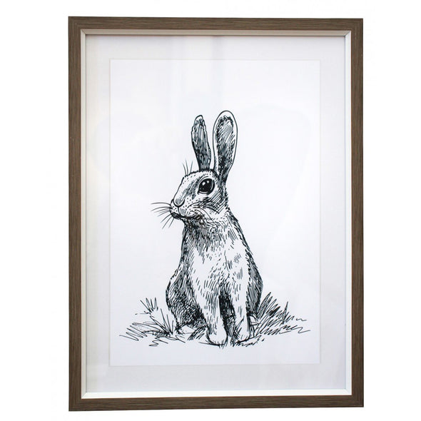 Framed Print Curiosity Rabbit