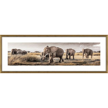 Herd Glass Oak Framed Wall Art