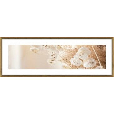 Melodius Glass Framed Wall Art